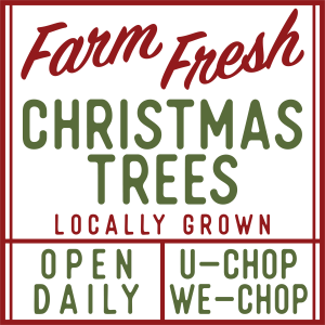 Farm Fresh Christmas Trees Locally Grown